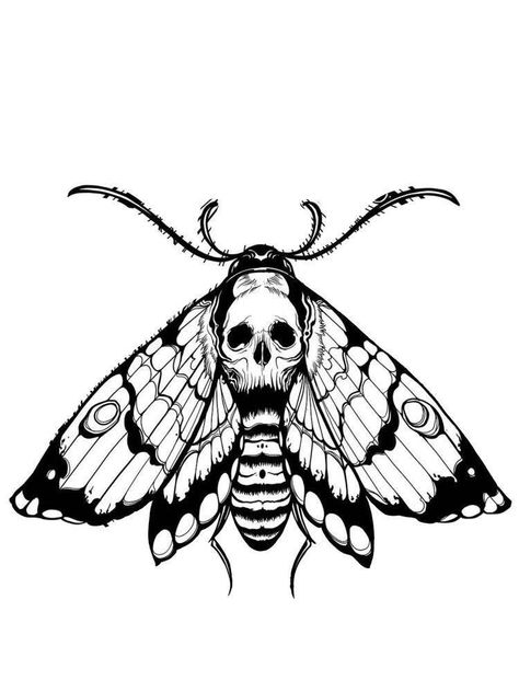 Moth Tattoo Design, Insect Tattoo, Bug Tattoo, Creepy Tattoos, Moth Tattoo, Dark Art Tattoo, Tattoo Portfolio, Tattoo Art Drawings, Tattoo Flash Art