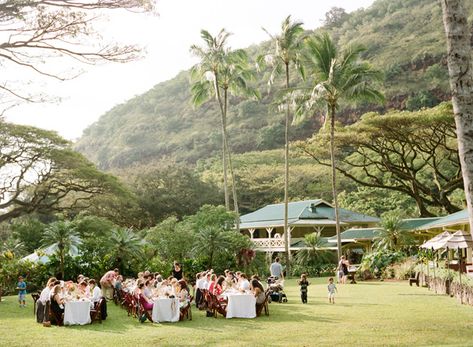 outdoor Hawaii receptions - photo by Austin Gros - view more:  http://ruffledblog.com/elegant-oahu-wedding/ Waimea Valley Wedding Reception, Haiku Gardens Wedding Oahu, Wedding Budget Percentage, Forest Wedding Reception, Oahu Elopement, Waimea Valley, Oceanside Wedding, Wedding Venues Hawaii, Wedding Hawaii