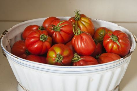 How To Preserve Tomatoes, How To Ripen Tomatoes, Preserve Tomatoes, Ripen Green Tomatoes, Homemade Tomato Paste, Freezing Tomatoes, Preserving Tomatoes, Summer Tomato, Scallop Recipes