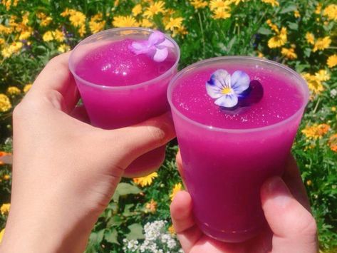 Butterbeer Ice Cream Recipe, Flower Lemonade, Butterbeer Ice Cream, Violet Lemonade, Festival Recipe, Purple Food Coloring, Disney Drinks, Purple Food, Lemonade Drinks