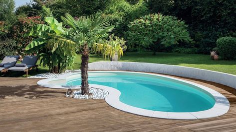 Céline kidney-shaped pool – an elegant curved design | Waterair Swimming Pools Swimming Pool Decorations, Mini Swimming Pool, Kidney Shaped Pool, Deck Piscina, Swimming Pool Photos, Pools Backyard Inground, Swimming Pool Landscaping, Pool Remodel, Mini Pool