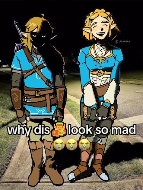 Rito Zelda, Legend Of Zelda Link Fanart, Link Botw Fanart, Tears Of The Kingdom Zelda, Zelink Fanart, Zelda And Link, Link And Zelda, Link Botw, Zelda Fanart