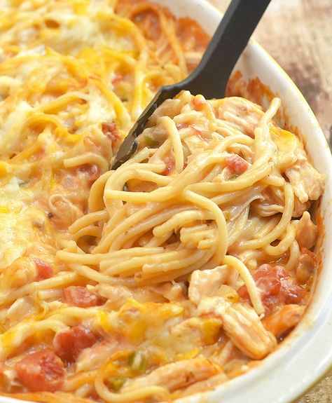 1 lb chicken 1 can Diced Tomatoes (with onion and peppers) undrained  1 lb velveeta 1 lb pasta 4 oz Milk Tomato Spaghetti, Cheesy Pasta Recipes, Chicken Spaghetti Casserole, Moist Chicken, Pecan Chicken, Spaghetti Casserole, Creamy Tomato Sauce, Cheesy Pasta, Pasta Casserole