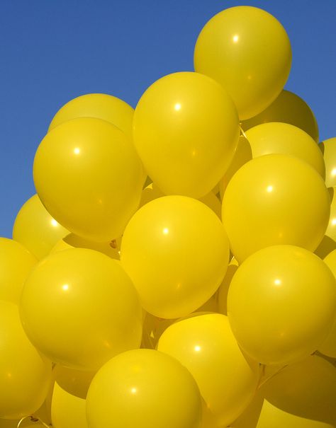 Carry yellow balloons around with me all day, giving them away!!! Yellow Aesthetics, Yellow Photography, Yellow Aesthetic Pastel, Yellow Balloons, Yellow Theme, Jaune Orange, Yellow Submarine, Yellow Wallpaper, Yellow Aesthetic