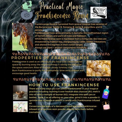 Franincense magical uses. Frankincense spiritual uses. Frankincense uses. Frankincense ritual uses. Frankincense resin. Burning Frankincense, Frankincense Uses, Magickal Herbs, Frankincense Resin, Voodoo Hoodoo, Magic Spell Book, Witchy Crafts, Sun God, Witch Stuff