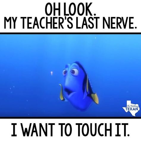 Teaching Memes, Humor Disney, Teaching Humor, Funny Disney Memes, Social Emotional Development, Humor Mexicano, Teacher Memes, Quality Memes, Teaching Life