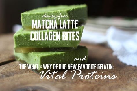 Collagen Rich Foods, Matcha Green Tea Recipes, Collagen Recipes, Gelatin Recipes, Green Tea Recipes, Matcha Recipe, Coconut Milk Powder, Vital Proteins, Anti Aging Food