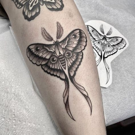 Moth Tattoo Long Tail, Lunar Moth Tattoo Traditional, Luna Moth With Eyes Tattoo, Black Luna Moth Tattoo, Moth Tattoo Leg Knee, American Traditional Luna Moth, American Traditional Lunar Moth, Large Moth Back Tattoo, Dark Luna Moth Tattoo