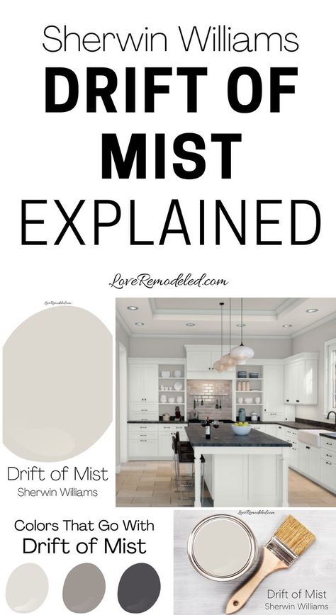 Sherwin Williams Drift Of Mist, Mist Paint Color, Drift Of Mist, Best Sherwin Williams Paint, Basement Wall Colors, Top Paint Colors, Interior Wall Colors, Hallway Colours, Home Exteriors