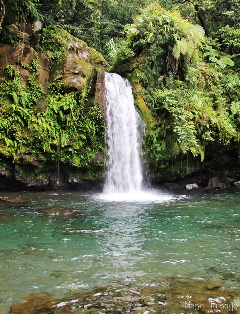 Taytay Falls Majayjay, Laguna Philippines Pagsanjan Falls, Laguna Philippines, Tourist Spots, Island Life, The Great Outdoors, Philippines, Around The Worlds, Wonder, Collage