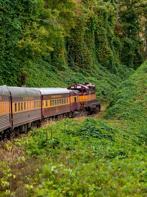 13 Southern train rides you need to take if you really, really love trains - It's a Southern Thing Southern Trains, Dinner Train, Railroad Industry, Company Town, Scenic Railroads, Train Tour, Scenic Travel, Eureka Springs, Heritage Museum