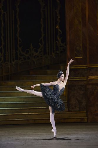 Yasmine Naghdi, Royal Ballet School, Swan Lake Ballet, Ballet Images, The Royal Ballet, Alvin Ailey, Ballet Inspiration, Ballet Art, Outdoors Tattoo