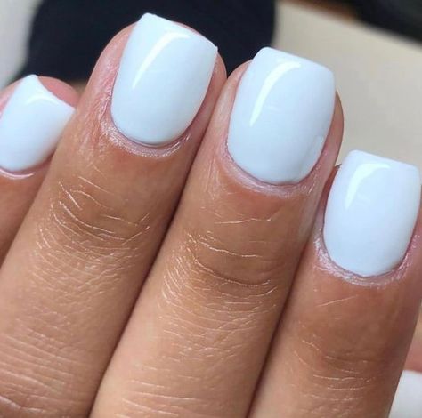 DND Gel Community on Instagram: "Which white gel polish color is your favorite? 😍 French Tip DND473 White Fur DC161 Snowflake DND448 White Bunny DC057" Cnd Nails, Builder Gel Nails, Band Nails, Dnd Gel Polish, Powder Nail Polish, Gel Polish Colors, Essie Nail Polish, Nail Polish Sets, Essie Nail