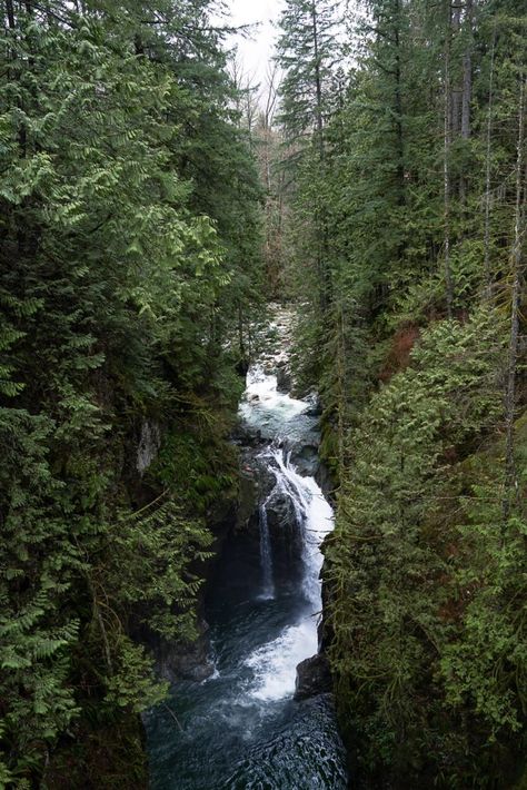 Forest Pool, Lynn Canyon Suspension Bridge, Mossy Forest, Lynn Canyon, Twin Falls, Suspension Bridge, British Columbia Canada, Paddle Boarding, British Columbia