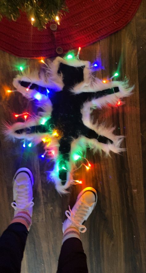 🎄🎄🎄 Christmas Vacation Cat, Cat Rug, National Lampoon, Christmas Vacation, Photojournalism, Christmas Crafts, Christmas Tree, Rug, Holiday Decor