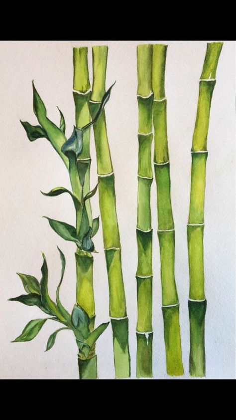 Green Plant Art, Watercolor Bamboo, Bamboo Drawing, Painting Bamboo, Bamboo Plant, Nature Art Prints, Bamboo Art, Bamboo Tree, Plant Painting