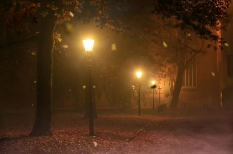 Night Life Photography, Night Forest, Photo Background Images, Autumn Scenery, Fall Pictures, Alam Yang Indah, Autumn Cozy, Autumn Aesthetic, Beautiful Nature Scenes