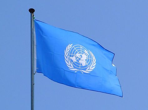 The United Nations Model United Nations Poster, United Nation Organisation, United Nations Flag, United Nations Organization, International Studies, Where Is The Love, Global Issues, Places In New York, Law And Justice