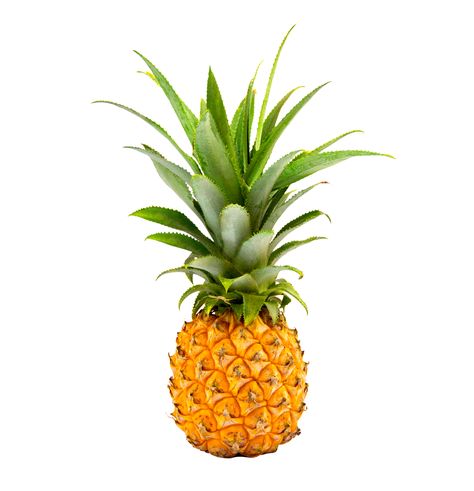 Pineapple Pics, Fruit Hd Images, Pineapple Stock Photo, Pineapple, White Background, Photo Image, Royalty Free Stock Photos, Stock Images, Stock Photos