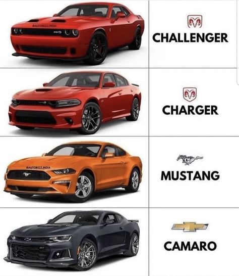 Muscle Cars Car Brands Logos, Vw T1, Street Racing Cars, Car Hacks, Mustang Cars, Classy Cars, Fancy Cars, Pretty Cars, Car Mechanic