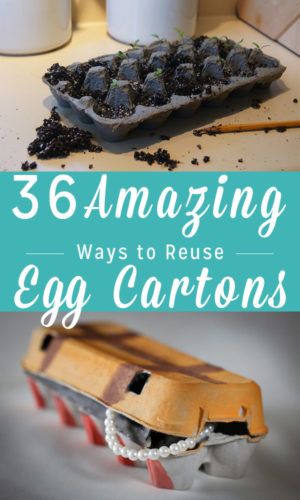 Egg Carton Uses Ideas, Repurposed Egg Cartons, Egg Carton Upcycle, Recycling Egg Cartons, Egg Carton Recycle Ideas, Upcycle Egg Cartons, Egg Carton Storage Ideas, What To Do With Egg Cartons, Egg Carton Uses