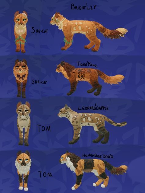 Wcue Morph Ideas Non Cat, Wcue Morph Ideas Brown, Wcue Morph Ideas Calico, Warrior Cat Oc Ideas Wcue, Roblox Warrior Cats Morphs, Warrior Cats Ultimate Edition Morph Ideas, Wcue Oc Idea, Warrior Cats Oc Design Roblox Ideas, Morph Ideas Warrior Cats