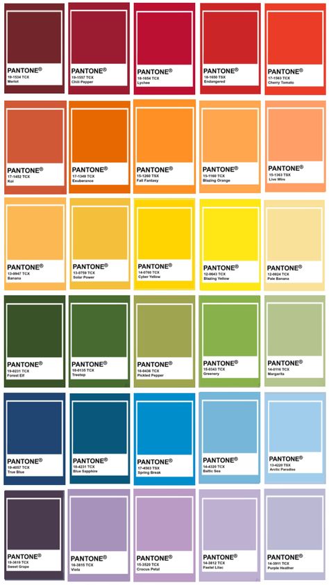 #rainbow #pantone #colorful Pantone Color Chart, Pantone Colour Palettes, Printable Vintage Art, Trend Forecasting, Vintage Printables, Pantone Color, Create Collage, Color Chart, Creative Play