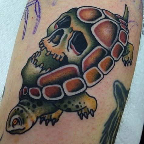 Old School Turtle Tattoo, American Traditional Turtle Tattoo, Traditional Turtle Tattoo Design, Sea Turtle Traditional Tattoo, Traditional Turtle Tattoo, New School Turtle Tattoo, Neo Traditional Sea Turtle Tattoo, American Traditional Sea Creature Tattoo, Predator Tattoo