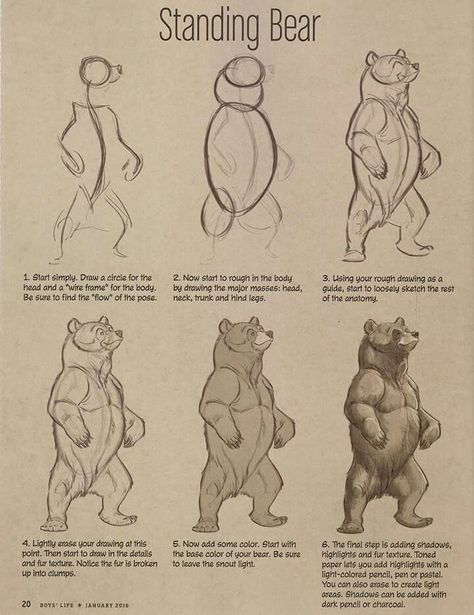 By aaron blaise Human Bear Drawing, Bear Poses Drawing, Grizzly Bear Character Design, Aaron Blaise Art, Bear Anatomy Drawing, Bear Drawing Reference, Bear Drawing Sketches, How To Draw Bears, How To Draw Bear