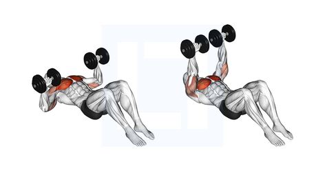 Dumbbell Floor Press, Floor Chest Press, Bench Press Muscles Worked, Workouts To Build Muscle, Dumbbell Upright Row, Best Dumbbell Exercises, Dumbbell Workouts, Dumbbell Exercises, Chest Press