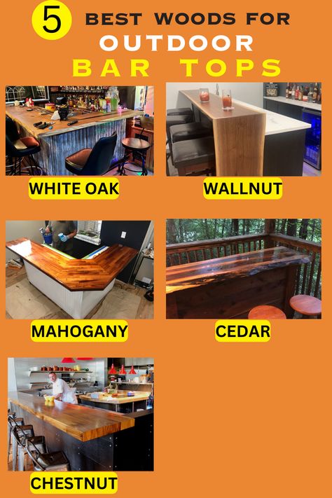 Outdoor bar top made to last: Optimal wood selection guide for durability and style in your space. Explore the best termite-resistant, decay-proof options! #OutdoorFurniture #WoodSelection #BarTopDesign Outdoor Bar Tops, Bar Tops, Bar Top, Top Five, Outdoor Bar, Outdoor Oasis, Woodworking Tips, A Wood, A Bar