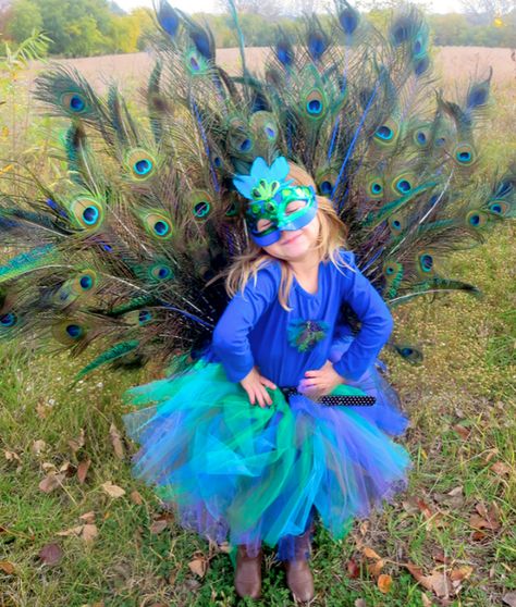 Peacock Costume Kids, Creative Kids Halloween Costume, Unique Kids Halloween Costume, Peacock Costume Diy, Peacock Halloween Costume, Diy Peacock, Peacock Tutu, Wheelchair Costumes