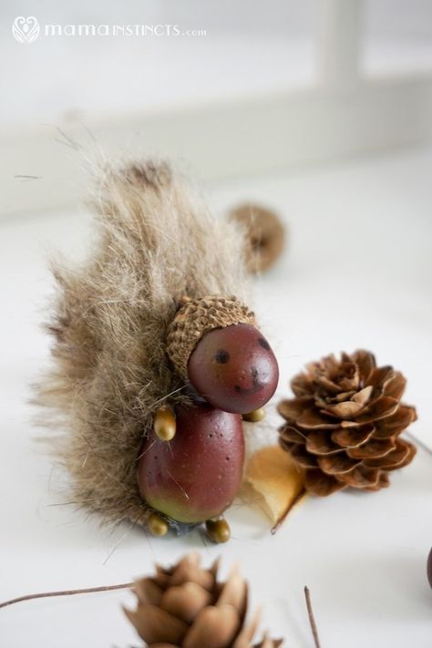 Easy Adorable Squirrel Acorn Craft for Kids Fun Fall Crafts For Kids, Acorn Craft, Fall Crafts For Toddlers, Gnome Ideas, Autumn Leaves Craft, Acorn Crafts, Halloween Crafts For Toddlers, Fun Fall Crafts, Stem Crafts