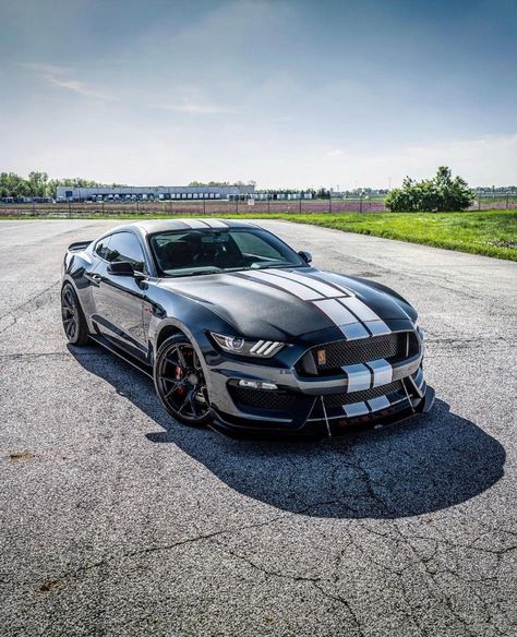 Bad-ass Ford Mustang Shelby GT350 Rolls Royce Ghost Black, Mustang Shelby Cobra, Mustang Gt 350, Gt Mustang, Sports Cars Mustang, Tokyo Drift Cars, Mustang Car, Rare Cars, Shelby Gt350