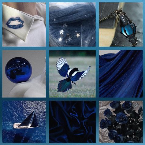 Orginal moodboard made by me^^ Bird Mood Board, Royal Moodboard, Dc Moodboard, Tech Moodboard, Space Moodboard, Blue Moodboard, Character Bank, Adopt Idea, Moodboard Inspiration