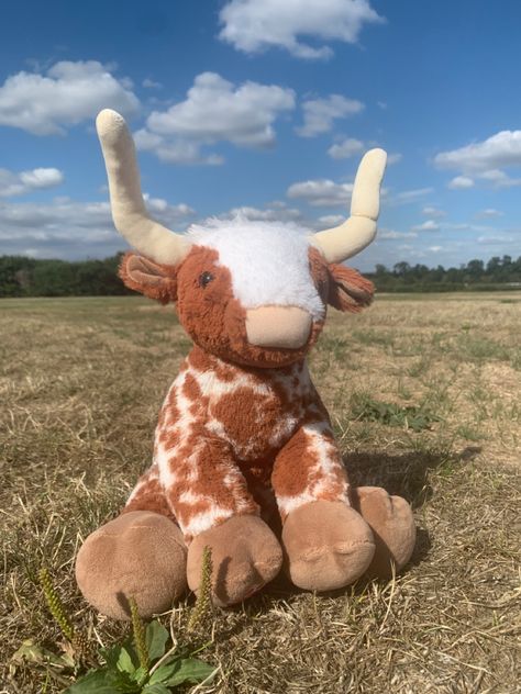 Cottagecore
Build a bear 
Aesthetic 
Cute 
Coquette 
Kidcore 
Fairycore Build A Bear Longhorn Cow, Cute Cow Stuffed Animal, Stuffed Highland Cow, Cow Plushie Aesthetic, Longhorn Build A Bear Aesthetic, Build A Bear Highland Cow, Stuff Animals Aesthetic, Longhorn Build A Bear, Cow Build A Bear