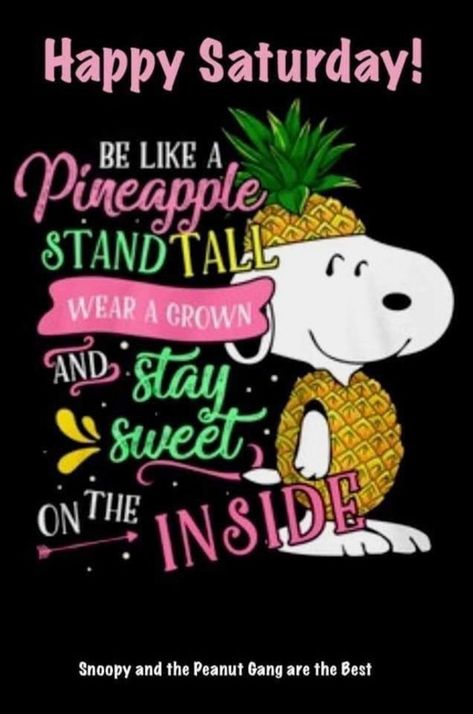 10 Best Snoopy Quotes For Saturday Quotes For Saturday, Be Like A Pineapple, Happy Saturday Quotes, Happy Saturday Morning, Happy Saturday Images, Saturday Humor, Saturday Greetings, Good Day Wishes, Good Morning Snoopy