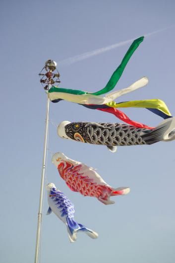 Got koinobori? It's Boys' Day in Hawaii | Hawaii Magazine Children's Day Japan, Golden Week Japan, Kodomo No Hi, Art Floral Japonais, Kites Craft, Japanese Calendar, Golden Week, Boys Day, Japanese Fish