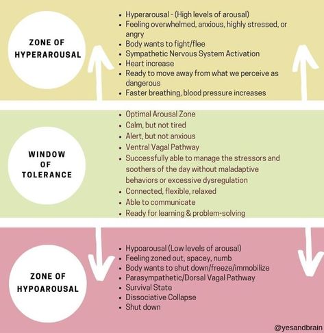 Polyvagal Ladder, Window Of Tolerance, Polyvagal Theory, Limbic System, Healing Art, Autonomic Nervous System, Positive Emotions, Therapy Activities, Social Emotional