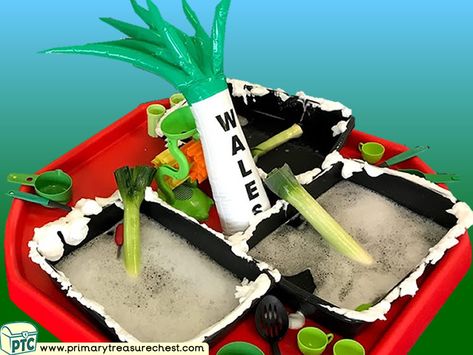 Wales - Saint David’s Day - Dydd Santes Dwynwen – Leeks - Cawl Themed Water Multi-sensory Mouldable Soap - Vegetables Tuff Tray Ideas and Activities Welsh Activities Eyfs, St Davids Day Eyfs, Nurture Group, Tuff Tray Ideas, St David, Tuff Spot, Area Activities, Water Activity, Welsh Gifts