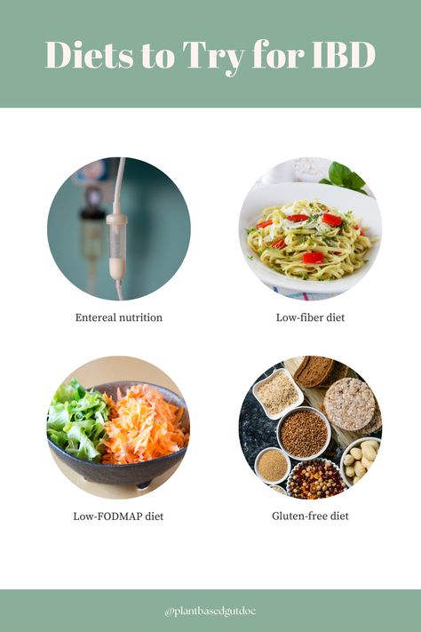 Ibd Diet, Healing Lifestyle, Health Meal Prep, Scd Diet, Low Fiber Diet, Gut Healing Recipes, Fiber Diet, Best Diet, Low Fodmap Diet