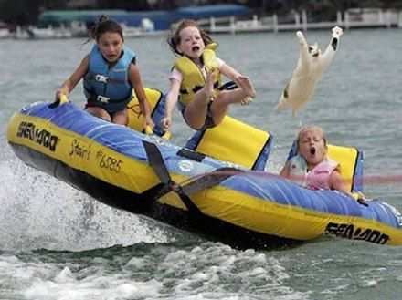 summer afternoons as a kid...at the lake. i would be the one flying out of the raft, while dale and danny hang on! Picture Writing Prompts, Picture Prompts, Fun Fun, Jokes Funny, Can't Stop Laughing, Have A Laugh, E Card, Two Girls, Grumpy Cat