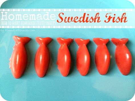 Homemade Fruit Snacks Swedish Fish Fruit Snacks Homemade, Fruit Snacks For Kids, Toddler Snack Ideas, Snacks Homemade, Homemade Fruit Snacks, Healthy Fruit Snacks, Toddler Snack, Swedish Food, Homemade Graham Crackers