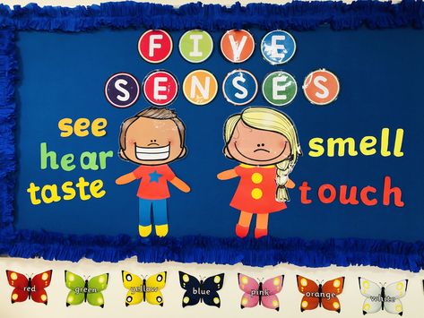 Five Senses Bulletin Board Preschool, Senses Bulletin Board Ideas, Five Senses Project, 5 Senses Bulletin Board Ideas, Five Senses Bulletin Board, Preschool Five Senses, 5 Senses Poster, Infant Sensory, Five Senses Preschool