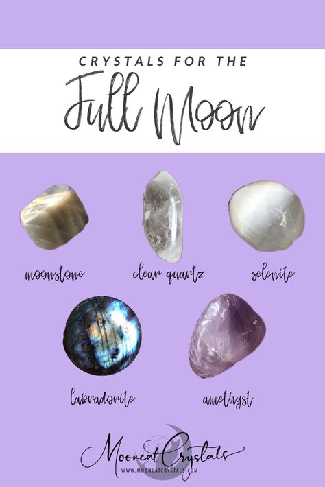 If you're looking for which crystals to use during the full moon, here's what we recommend! Moonstone, clear quartz, selenite, labradorite and amethyst are all beautiful crystals to use! Learn more + purchase your special piece from Mooncat Crystals☽| www.mooncatcrystals.com | #fullmoon #moonenergy #moonstone #clearquartz #selenite #labradorite #amethyst #abundance #moon #magic Full Moon Crystals Stones, Crystals For Moon Phases, Crystals For New Moon, Crystals For Full Moon, New Moon Crystals, Full Moon Crystals, Holistic Shop, Moon Crystals, Crystal Store