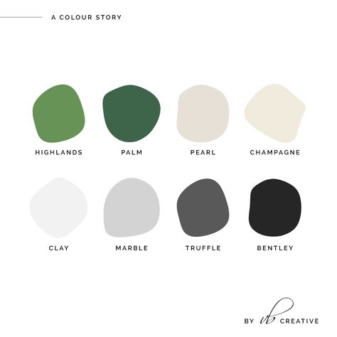 A green colour palette with lots of subtle neutrals.   #branddesign #branding #smallbusinessbranding #brandconsultant #financialplanning #insurancebranding #investmentfirmbranding #greenbrandcolour #greenbranding Brand Colour Palette, Brand Colour Schemes, Green Branding, House Color Palettes, Squarespace Website Design, Green Palette, Web Design Studio, Brand Color Palette, Green Colour Palette