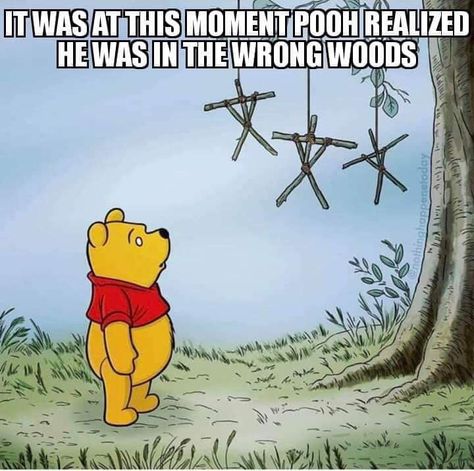 ☄︎ Pooh And Piglet Quotes, Piglet Quotes, Witchy Humor, Horror Humor, Horror Memes, Blair Witch, Horror Lovers, Dark Memes, Need A Laugh