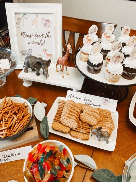 Zoo Party Food, Animal Party Food, Animal Themed Birthday Party, Zoo Birthday Party, Animal Theme Birthday, 2nd Birthday Party For Girl, Wild Birthday Party, Animal Party Theme, Zoo Birthday