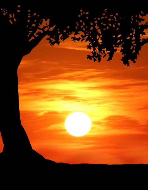 Sunset Silloute, Silhouette Painting Ideas, Tree Silhouette Painting, Tree Silhouette Sunset, Tree Trunk Painting, Oak Tree Silhouette, Landscape Silhouette, Silhouette Sunset, Country Sunset