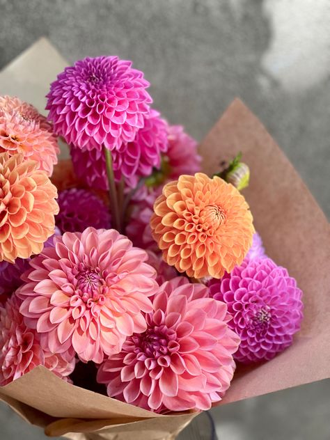 Wedding Bouquets Dahlia, Dahlia Flower Bouquet, Pastel Flower Bouquet, Dalia Flower, Romance Booktok, Pink Dahlias, Dahlia Pink, Pink Perennials, Flower Boquet